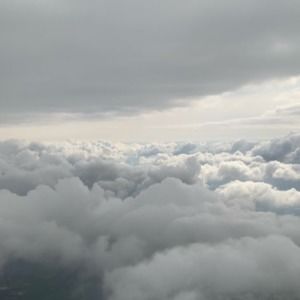 Meet your Posher, Daniela